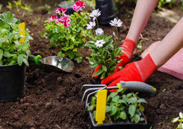 باغچه ای