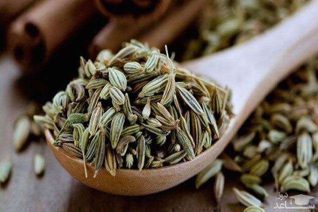گیاهی برای درمان بیماری‌های دستگاه گوارش