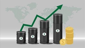 افزایش قیمت نفت واقعی در همه نقاط جهان