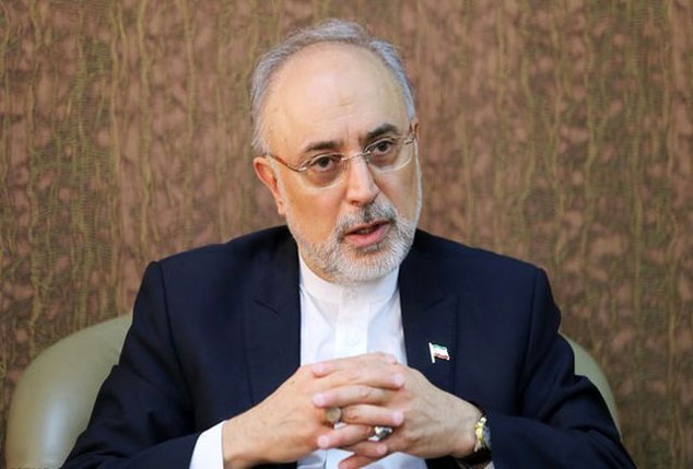 صالحی در گفت‌وگو با شبکه پی.بی.اس: رهبر انقلاب حرف نهایی را درباره سلاح اتمی زده‌اند