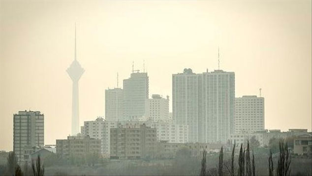 خوراکی‌هایی که به کاهش آسیب آلودگی هوا کمک می‌کنند